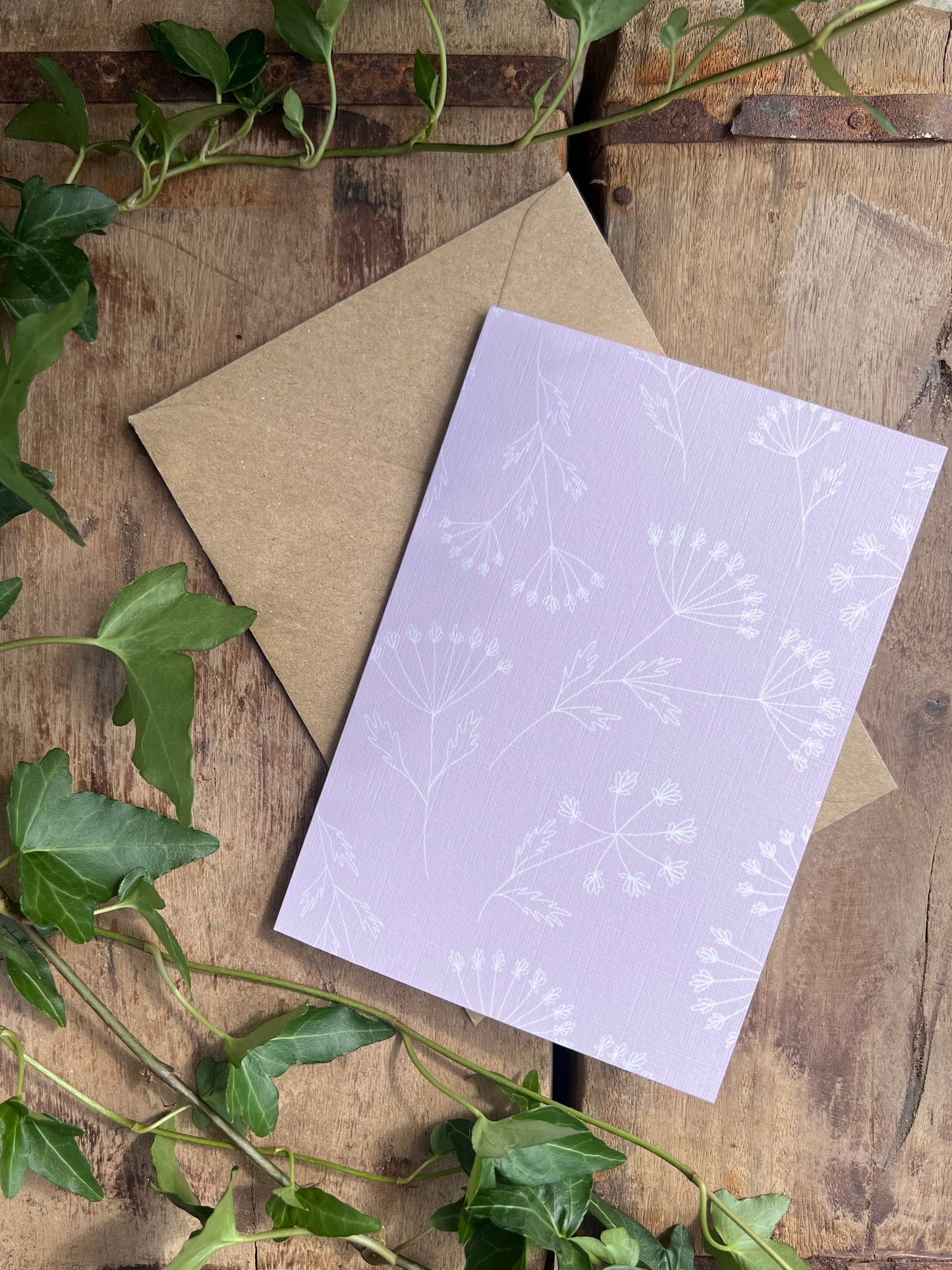 Cow Parsley Blush