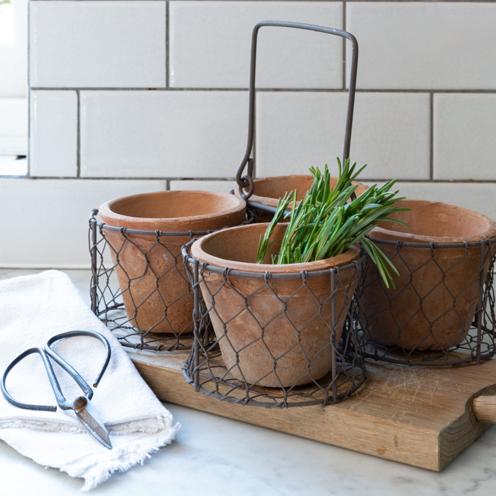 Terracotta Pot Set