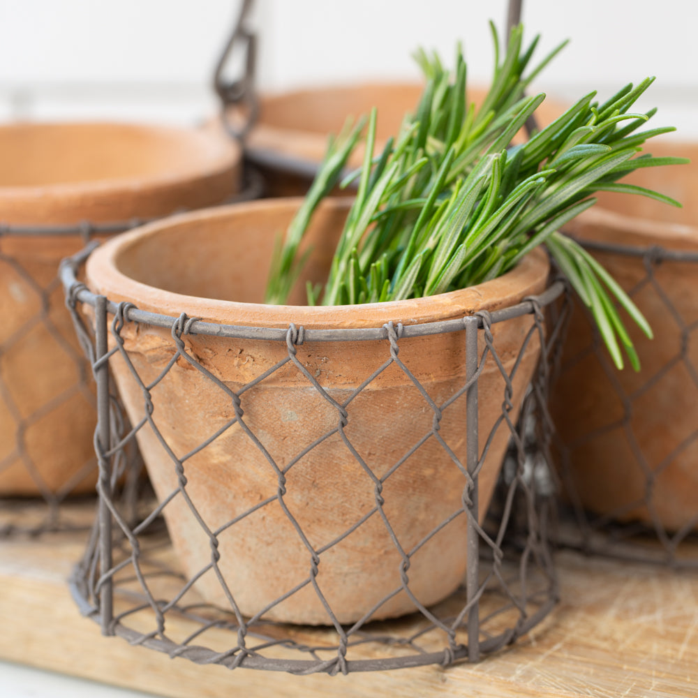 Terracotta Pot Set